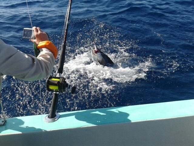  Momento della cattura 